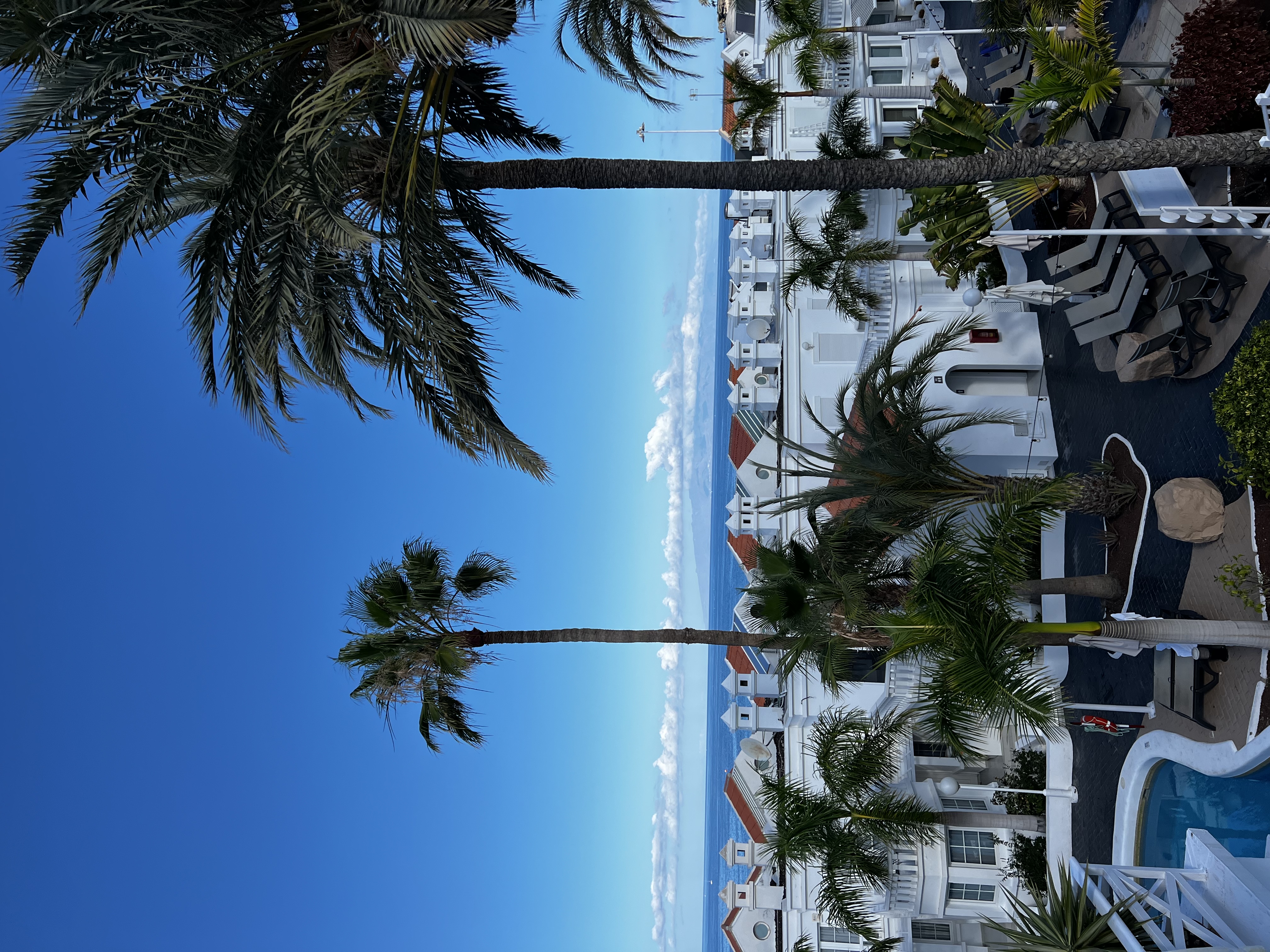 Teneriffa Palmen und Meer